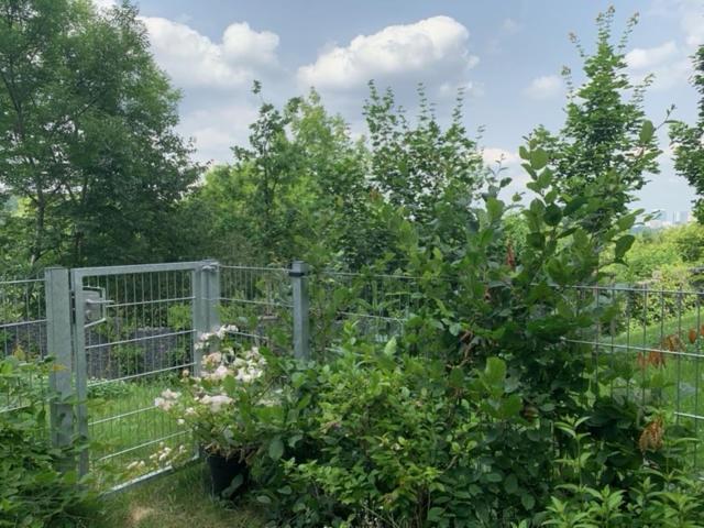 Byt Panorama Hlubocepy Prag Eksteriør billede
